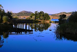 夏天,那根,暑假