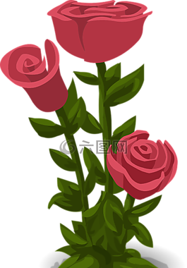 玫瑰,粉紅色,鮮花