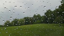 雨,滴,天氣
