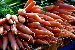 胡蘿卜,食品,蔬菜