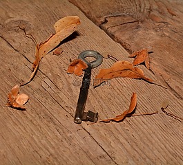 關(guān)鍵,老,金屬