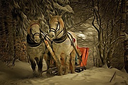 馬,雪,動物