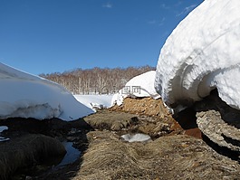冬季,雪,雪堆