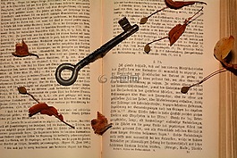 本書(shū),關(guān)鍵,老