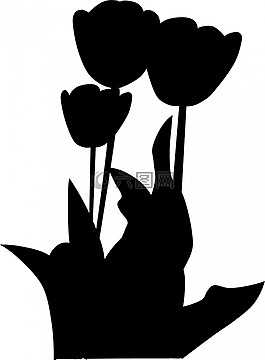 郁金香,盛开,鲜花