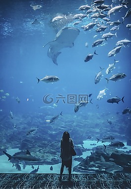 自然,waterr,人
