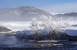 冬季,河,弗羅斯特