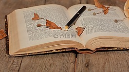 本書(shū),字體,老