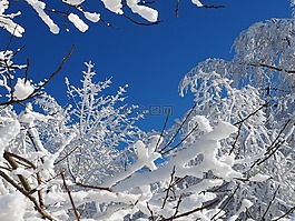 雪,寒冬,冷