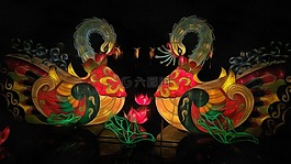 鵜,鳥,照明