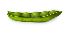 豌豆,pod,豌豆莢
