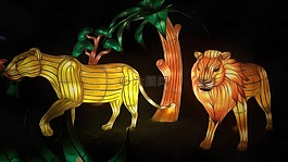 虎,豹,動物