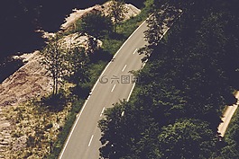 路,樹木,城市