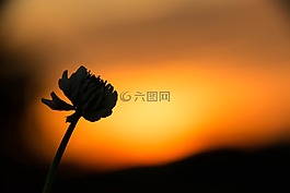 克萊,日落,天空