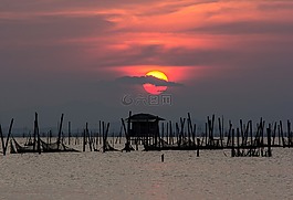 紅色,太陽,水