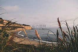 海,海洋,水