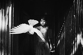 鸽子,blackandwhite,blackandwhitephotography