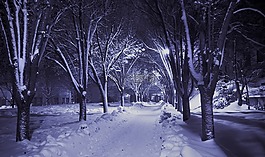 冬天,夜,雪