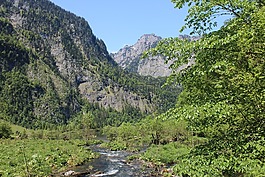 高山,過(guò)獨(dú)身生活,水