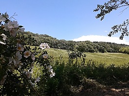 太陽,運動,景觀