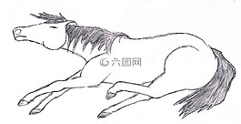 繪畫,繪圖,馬