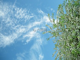 天空,云計(jì)算,藍(lán)色