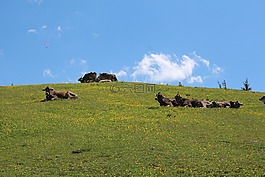 kössen,蒂罗尔,奥地利
