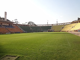 草坪,足球場,pacaembu