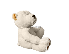 泰迪熊,熊,毛絨玩具