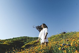 花,黃色,橙花瓣