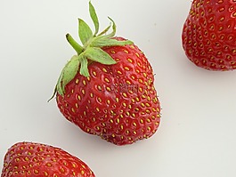 草莓,紅色,水果