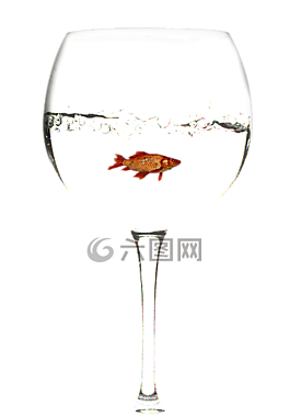 酒杯,孤立,透明