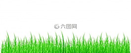 背景,草,自然