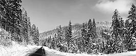 全景圖,雪,性質(zhì)