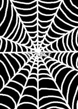 白,蜘蛛,web