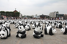 熊貓,展覽,顯示