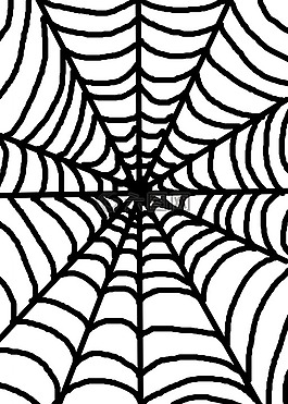 白,蜘蛛,web