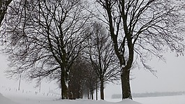 阿爾高,冬天,雪