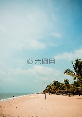 海灘,棕櫚,船