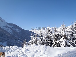 景觀,雪,性質(zhì)