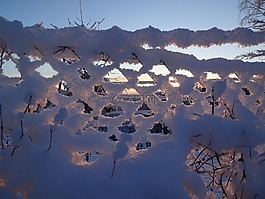冬季魔術(shù),籬笆,雪
