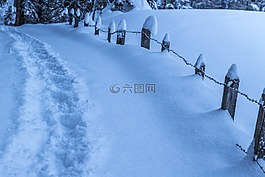 雪,冬天,冷