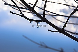 冰,eistropfen,滴