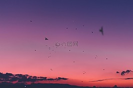 日落,天空,云