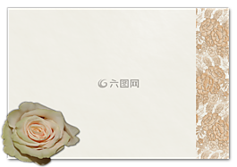 卡,日記,筆記本