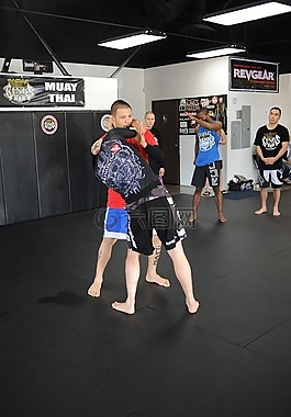 mma,巴西柔術,柔術