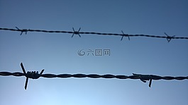 鐵絲網(wǎng),符號,捕獲