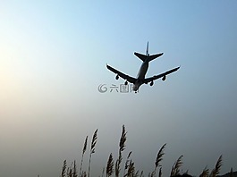 飛機,天空,背光