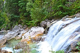 河,水,泡沫