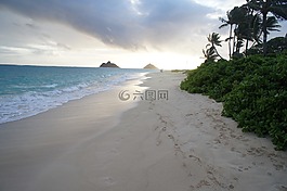 夏威夷,海,海洋